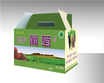 陝西(xī)包裝紙箱