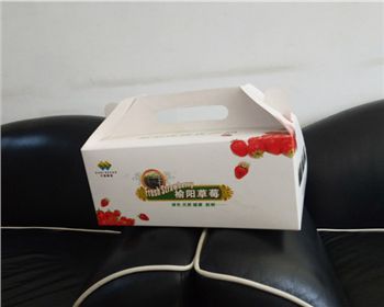 草莓禮盒紙箱(xiang)