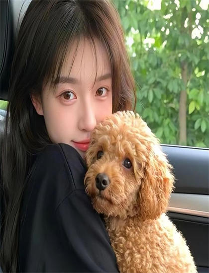 蓝光原盘：《爱上处女座》美学价值分析：艺术美感与审美特征探讨